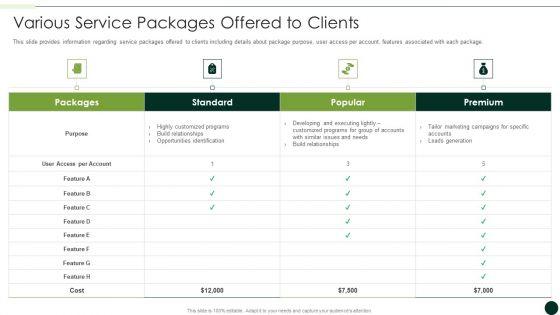 Salesman_Principles_Playbook_Various_Service_Packages_Offered_To_Clients_Summary_PDF_Slide_1.jpg