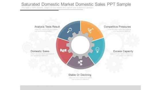 Saturated_Domestic_Market_Domestic_Sales_Ppt_Sample_1.jpg