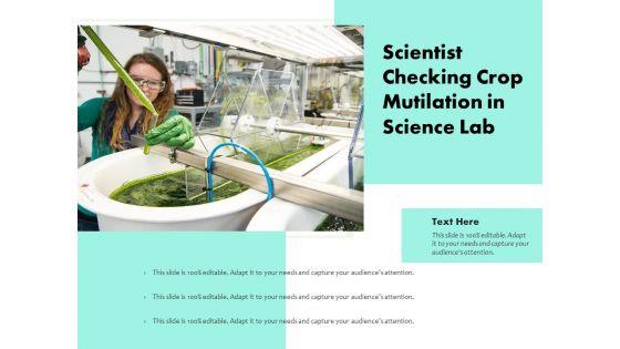 Scientist_Checking_Crop_Mutilation_In_Science_Lab_Ppt_PowerPoint_Presentation_Portfolio_Slides_PDF_Slide_1.jpg