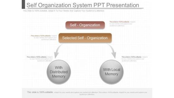 Self_Organization_System_Ppt_Presentation_1.jpg