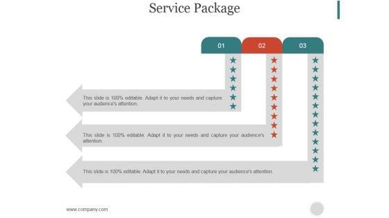 Service_Package_Ppt_PowerPoint_Presentation_Summary_Slide_1.jpg