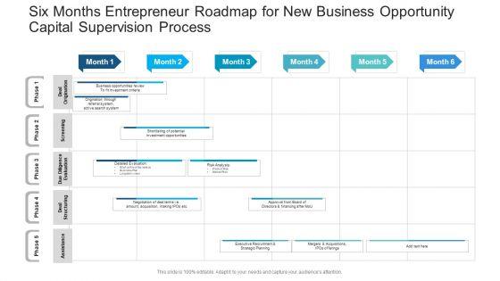 Six_Months_Entrepreneur_Roadmap_For_New_Business_Opportunity_Capital_Supervision_Process_Elements_PDF_Slide_1.jpg