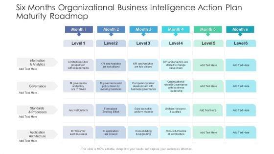 Six_Months_Organizational_Business_Intelligence_Action_Plan_Maturity_Roadmap_Summary_Slide_1.jpg