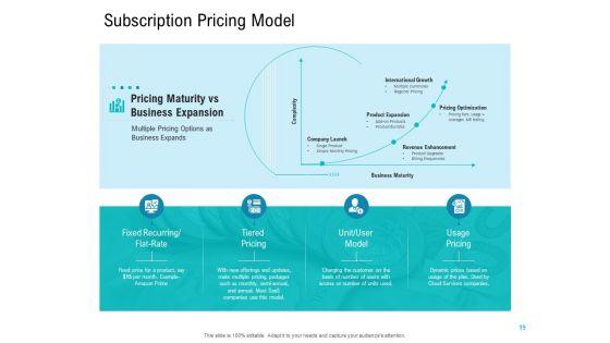 Smart_Software_Pricing_Strategies_Ppt_PowerPoint_Presentation_Complete_Deck_With_Slides_Slide_19.jpg