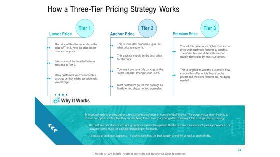 Smart_Software_Pricing_Strategies_Ppt_PowerPoint_Presentation_Complete_Deck_With_Slides_Slide_24.jpg