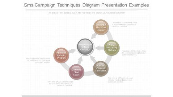 Sms_Campaign_Techniques_Diagram_Presentation_Examples_1.jpg