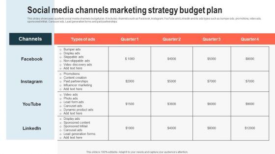 Social_Media_Channels_Marketing_Strategy_Budget_Plan_Slides_PDF_Slide_1.jpg