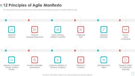 Software_Publication_12_Principles_Of_Agile_Manifesto_Ppt_Summary_Skills_PDF_Slide_1.jpg