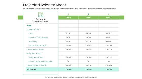 Solvency_Action_Plan_For_Private_Organization_Projected_Balance_Sheet_Information_PDF_Slide_1.jpg
