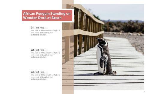 Spheniscidae_Aquatic_Animal_Brown_Penguin_Ppt_PowerPoint_Presentation_Complete_Deck_Slide_2.jpg