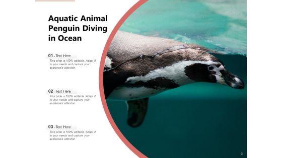 Spheniscidae_Aquatic_Animal_Brown_Penguin_Ppt_PowerPoint_Presentation_Complete_Deck_Slide_3.jpg