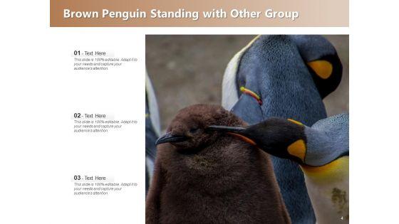 Spheniscidae_Aquatic_Animal_Brown_Penguin_Ppt_PowerPoint_Presentation_Complete_Deck_Slide_4.jpg