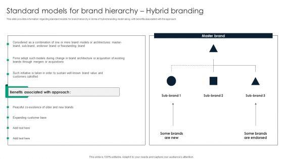 Standard_Models_For_Brand_Hierarchy_Hybrid_Branding_Elements_PDF_Slide_1.jpg