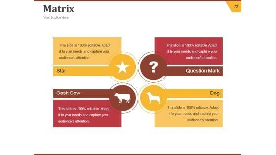 Strategic_Brand_Development_Plan_Ppt_PowerPoint_Presentation_Complete_Deck_With_Slides_Slide_73.jpg