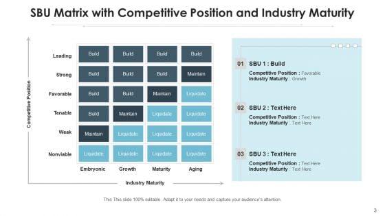 Strategic_Business_Unit_Analyst_Roadmap_Ppt_PowerPoint_Presentation_Complete_Deck_With_Slides_Slide_3.jpg
