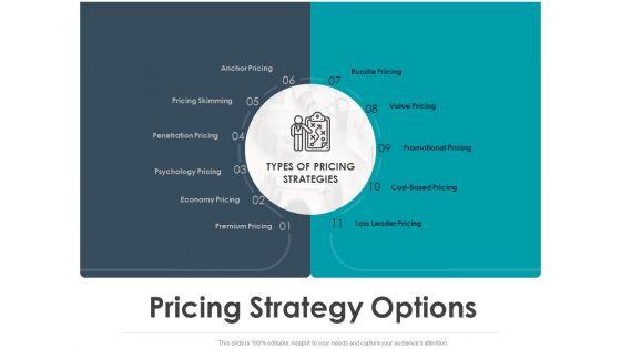 Strategic_Plan_For_Companys_Development_Pricing_Strategy_Options_Ppt_PowerPoint_Presentation_Background_Images_Slide_1.jpg