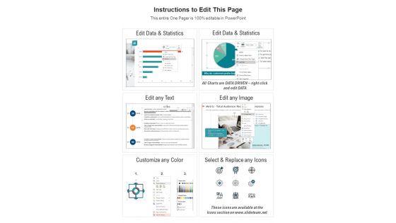 Strategy_Guide_Example_For_Organization_In_One_Pager_PDF_Document_PPT_Template_Slide_2.jpg