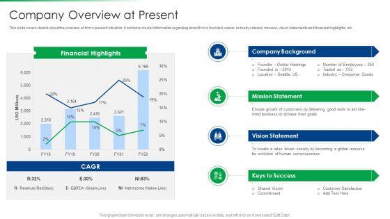 Strawman_Project_Action_Plan_Company_Overview_At_Present_Diagrams_PDF_Slide_1.jpg