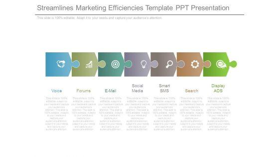 Streamlines_Marketing_Efficiencies_Template_Ppt_Presentation_1.jpg