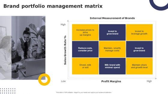 Streamlining_Brand_Portfolio_Technique_Brand_Portfolio_Management_Matrix_Download_PDF_Slide_1.jpg