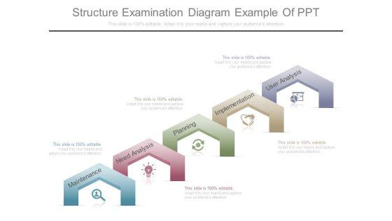 Structure_Examination_Diagram_Example_Of_Ppt_1.jpg