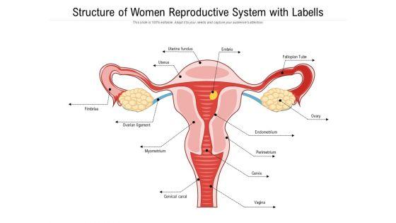 Structure_Of_Women_Reproductive_System_With_Labells_Ppt_PowerPoint_Presentation_File_Model_PDF_Slide_1.jpg