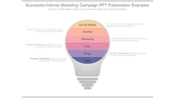 Successful_Internet_Marketing_Campaign_Ppt_Presentation_Examples_1.jpg