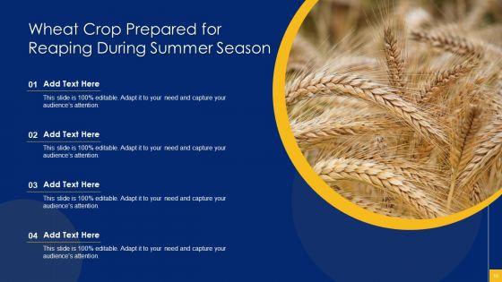 Summer_Season_Ppt_PowerPoint_Presentation_Complete_With_Slides_Slide_10.jpg