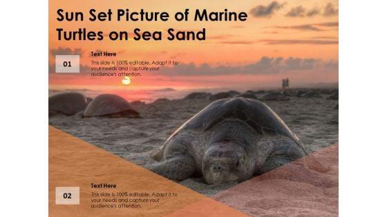 Sun_Set_Picture_Of_Marine_Turtles_On_Sea_Sand_Ppt_PowerPoint_Presentation_Model_Example_PDF_Slide_1.jpg