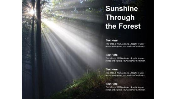 Sunshine_Through_The_Forest_Ppt_PowerPoint_Presentation_Model_Styles_Slide_1.jpg