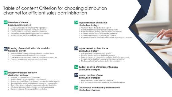 Table_Of_Content_Criterion_For_Choosing_Distribution_Channel_For_Efficient_Sales_Administration_Icons_PDF_Slide_1.jpg