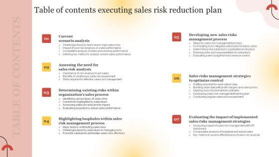 Table_Of_Contents_Executing_Sales_Risk_Reduction_Plan_Slides_PDF_Slide_1.jpg