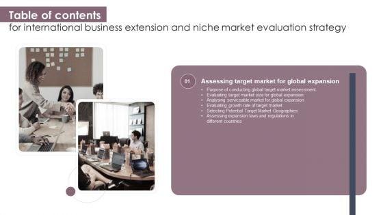 Table_Of_Contents_For_International_Business_Extension_And_Niche_Market_Evaluation_Strategy_Topics_PDF_Slide_1.jpg