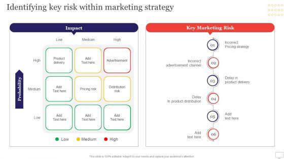 Target_Audience_Strategy_For_B2B_And_B2C_Business_Identifying_Key_Risk_Within_Marketing_Strategy_Professional_PDF_Slide_1.jpg