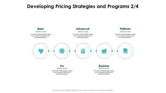 Target_Market_Strategy_Developing_Pricing_Strategies_And_Programs_Basic_Ppt_Infographics_Infographics_PDF_Slide_1.jpg