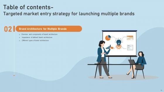 Targeted_Market_Entry_Strategy_For_Launching_Multiple_Brands_Ppt_PowerPoint_Presentation_Complete_Deck_With_Slides_Slide_13.jpg