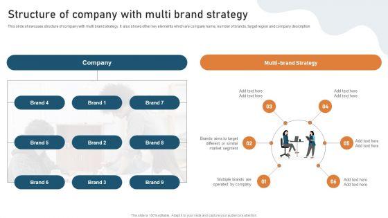 Targeted_Market_Entry_Strategy_Structure_Of_Company_With_Multi_Brand_Strategy_Download_PDF_Slide_1.jpg