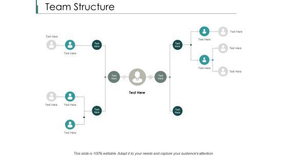 Team_Structure_Ppt_PowerPoint_Presentation_Icon_Design_Templates_Slide_1.jpg