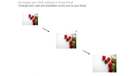 Thank_You_Slide_With_Red_Flowers_Powerpoint_Slides_2.jpg