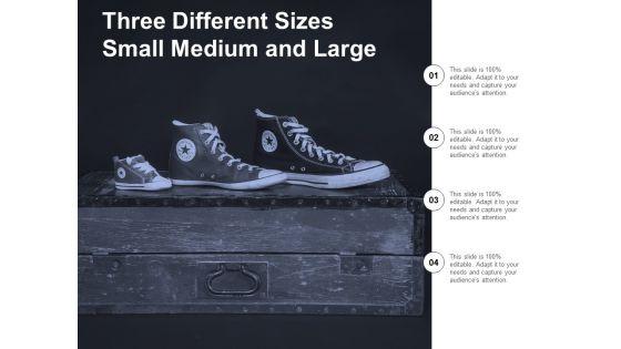 Three_Different_Sizes_Small_Medium_And_Large_Ppt_PowerPoint_Presentation_Show_Influencers_Slide_1.jpg