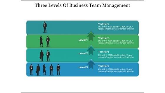 Three_Levels_Of_Business_Team_Management_Ppt_PowerPoint_Presentation_Infographics_Example_Introduction_Slide_1.jpg