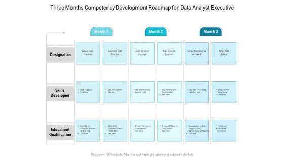 Three_Months_Competency_Development_Roadmap_For_Data_Analyst_Executive_Elements_Slide_1.jpg