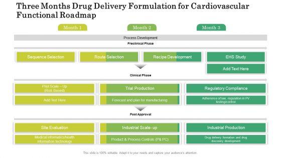 Three_Months_Drug_Delivery_Formulation_For_Cardiovascular_Functional_Roadmap_Infographics_Slide_1.jpg