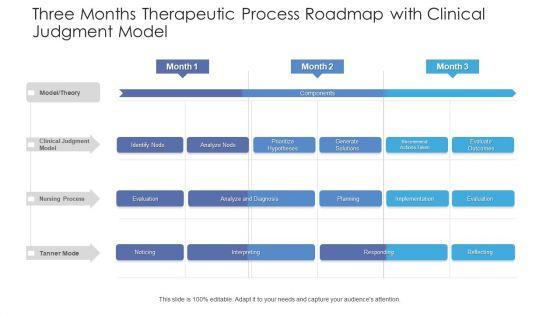 Three_Months_Therapeutic_Process_Roadmap_With_Clinical_Judgment_Model_Mockup_Slide_1.jpg