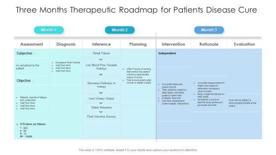 Three_Months_Therapeutic_Roadmap_For_Patients_Disease_Cure_Brochure_Slide_1.jpg