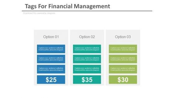 Three_Options_Tags_For_Financial_Management_Powerpoint_Slides_1.jpg