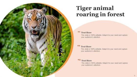 Tiger_Pictures_Animal_Ppt_PowerPoint_Presentation_Complete_Deck_With_Slides_Slide_5.jpg