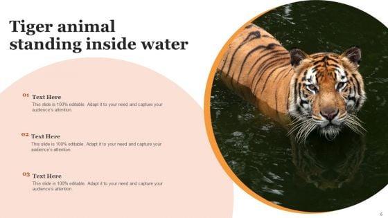 Tiger_Pictures_Animal_Ppt_PowerPoint_Presentation_Complete_Deck_With_Slides_Slide_6.jpg