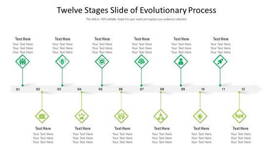 Twelve_Stages_Slide_Of_Evolutionary_Process_Ppt_PowerPoint_Presentation_Gallery_Good_PDF_Slide_1.jpg
