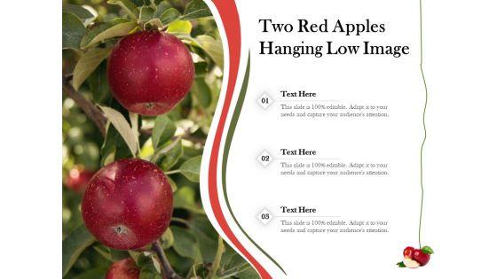 Two_Red_Apples_Hanging_Low_Image_Ppt_PowerPoint_Presentation_Gallery_Templates_PDF_Slide_1.jpg
